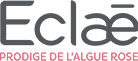 Logo Eclae